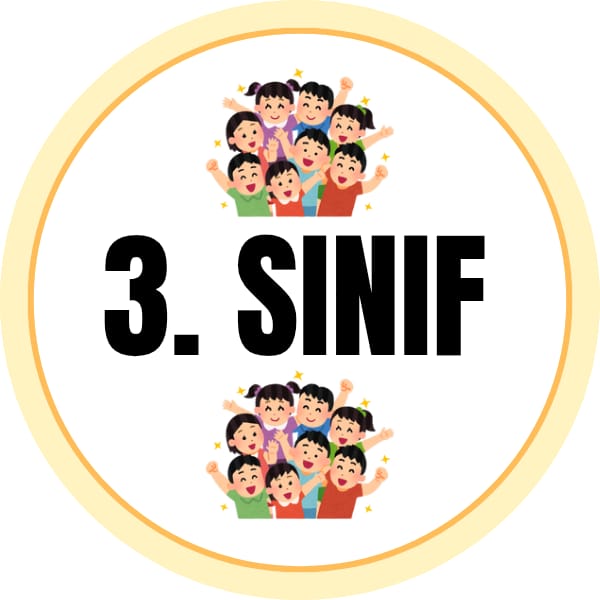 3. Sınıf Süreç Değerlendirme Ölçekleri (Türkçe, matematik)